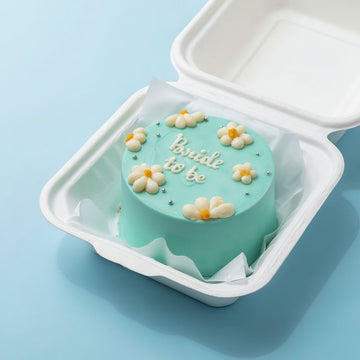 Simple Bento Cake