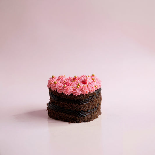 Small cake with pink frosting and chocolate accents on a light pink background